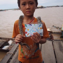 カンボジア_トレサップ湖