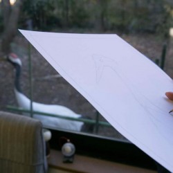 nicotan♡college『鶴を描こう』